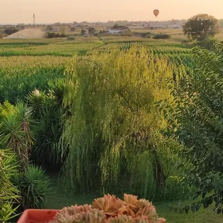 Le Colline Di Paestum Nocleg ze śniadaniem Capaccio