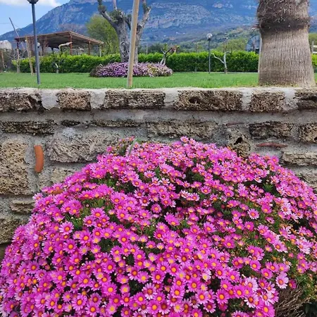 Bed & Breakfast Le Colline Di Paestum 3*